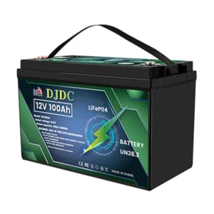 Dongjin LiFePO4 Deep Cycle Lithium Ion Battery 12V 100Ah