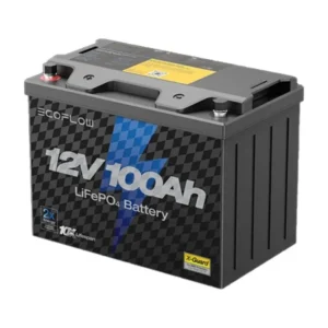 EcoFlow 12V 100Ah Deep Cycle LiFePO4 Lithium Battery