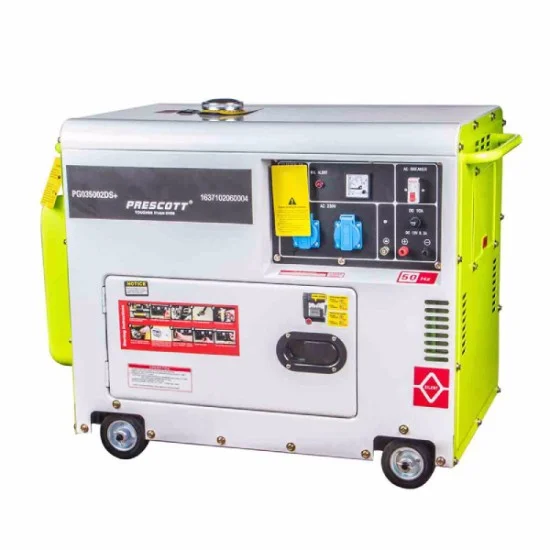 PRESCOTT DS-6000SE Silent Diesel Generator