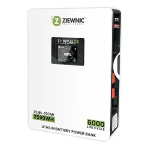 Ziewnic Li-Wall 2.56kWh Lithium Ion Battery Power Bank 25.6V 100AH