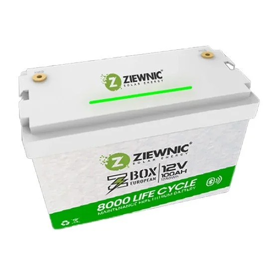 Ziewnic ZBOX 1.28kWh Deep Cycle Lithium Battery 12.8V 100Ah