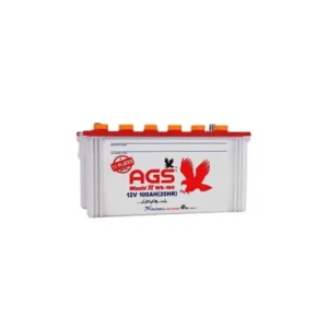 AGS WS-160 17PL 100AH Lead Acid Battery