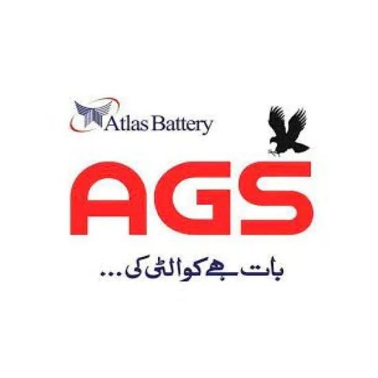 AGS WS-45R 5PL 22AH Lead Acid Battery