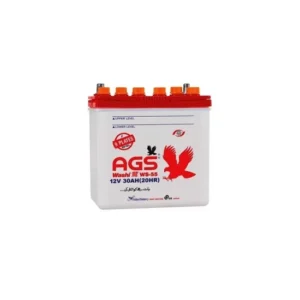 AGS WS-55 9PL 30AH Lead Acid Battery