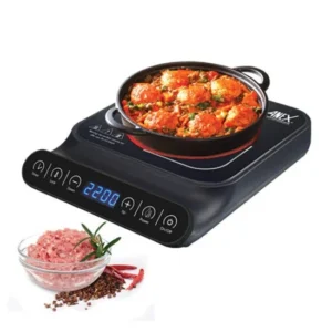 Anex AG-2166 Deluxe Hot Plate Digital
