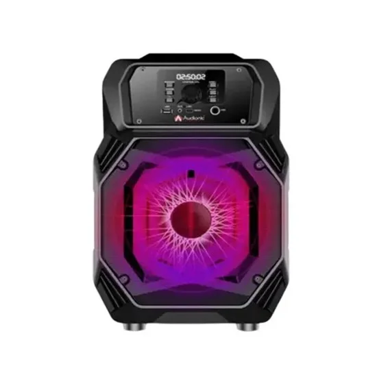Audionic MH-12 Mehfil Speaker