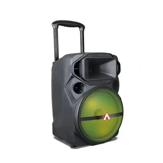 Audionic MH-55 Mehfil Advance Speaker