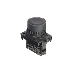 Autonics S2PR-P1KA 22/25 mm Push Button Switch