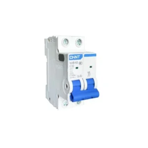 Chint MCB eB-63 C Double Pole 4.5 kA Circuit Breaker