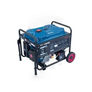 Dongcheng DF7500SE 6.5KV Generator