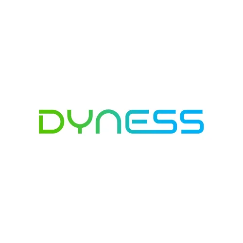 dyness
