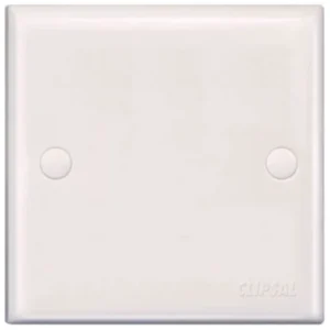 E-Series E31X 1 Gang Blank Plate