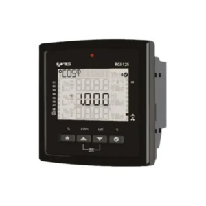 ENTES RGI-12 Power Factor Controller