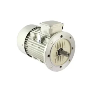 Fountain 2FEM05T 2P Three Phase Electric Induction Motor