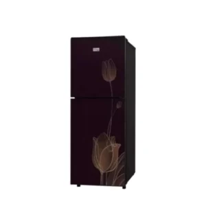 Gaba National GNR-1711GD Glass Double Door Big Refrigerator