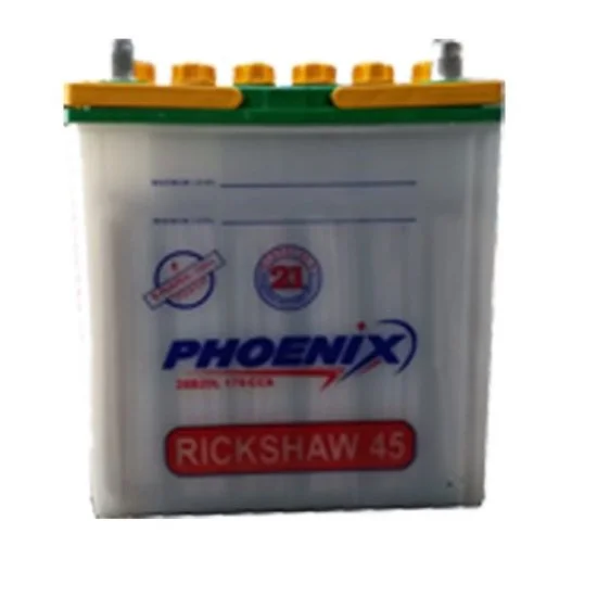 Phoenix RCK-45 6PL 24AH Tubular Battery