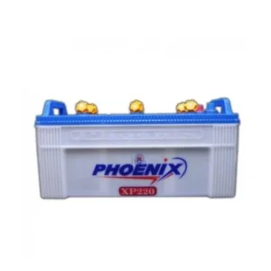 Phoenix XP220 25P 175H N150 Family Lead Acid Battery