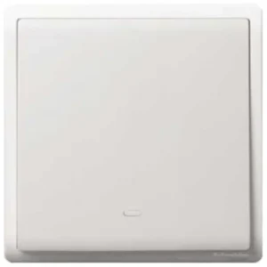 Pieno E8231L2F20 1 Gang 2 Way Switch