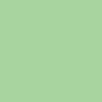 Savage 40 Mint Green 2.72 X 11M Background Paper Roll