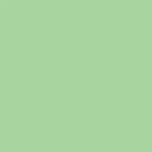 SAVAGE 40 Mint Green 2.72 X 11M Background Paper Roll