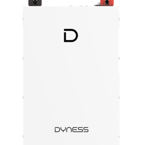 Dyness DL5.0F Lithium-Ion Battery - 51.2V 100AH IP20 5.12kWh