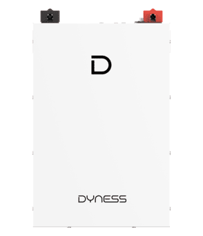 Dyness DL5.0F Lithium-Ion Battery - 51.2V 100AH IP20 5.12kWh
