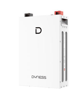 Dyness DL5.0F Lithium-Ion Battery - 51.2V 100AH IP20 5.12kWh - Image 2