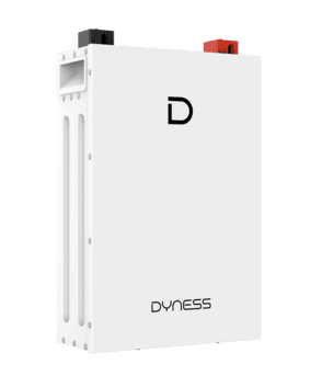 Dyness DL5.0F Lithium-Ion Battery - 51.2V 100AH IP20 5.12kWh - Image 4